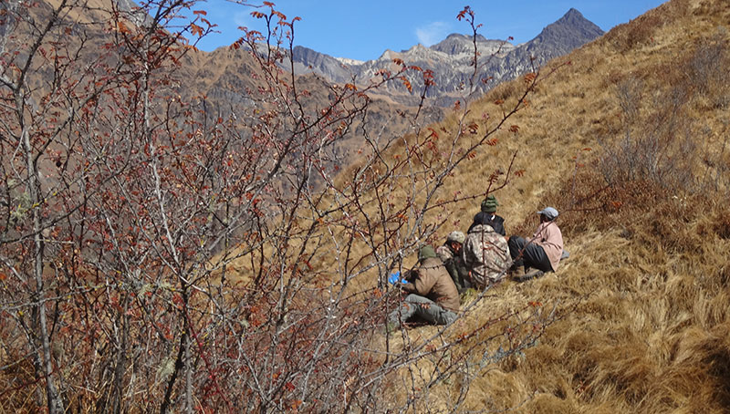 Himalayan Safaris Pvt Ltd.